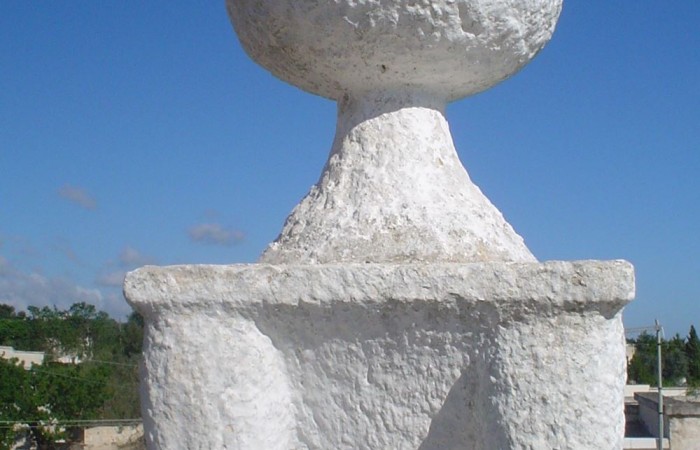 TESTA CONO